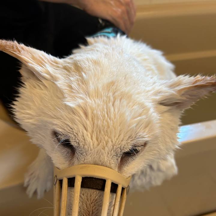 Dc4cc9b2 cf49 4666 af74 22370f53276c 1747093883206