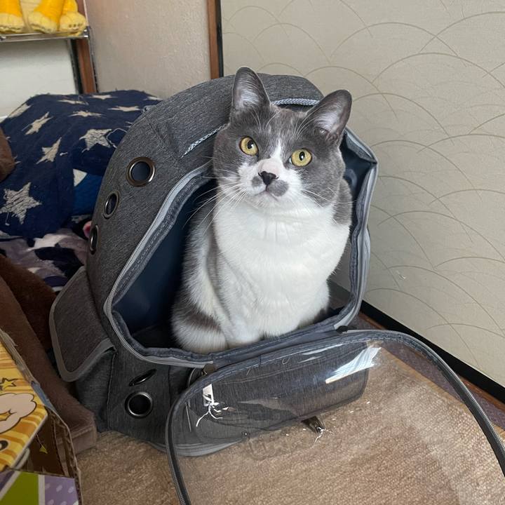 Dc4ce892 0526 4da7 94e0 f8b291205ad3 1707032774243