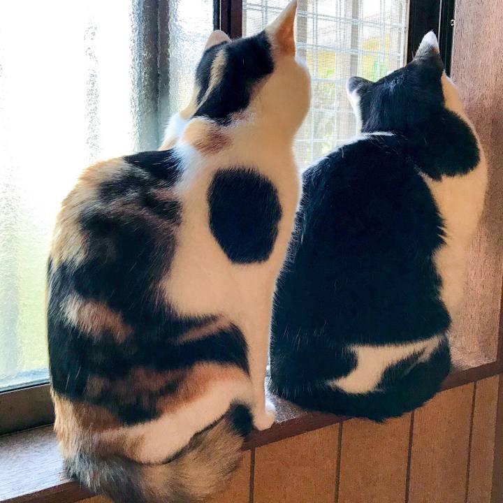 Dc4d2f5b 5553 465f 9eda 623d8f25fa79 1511358792562