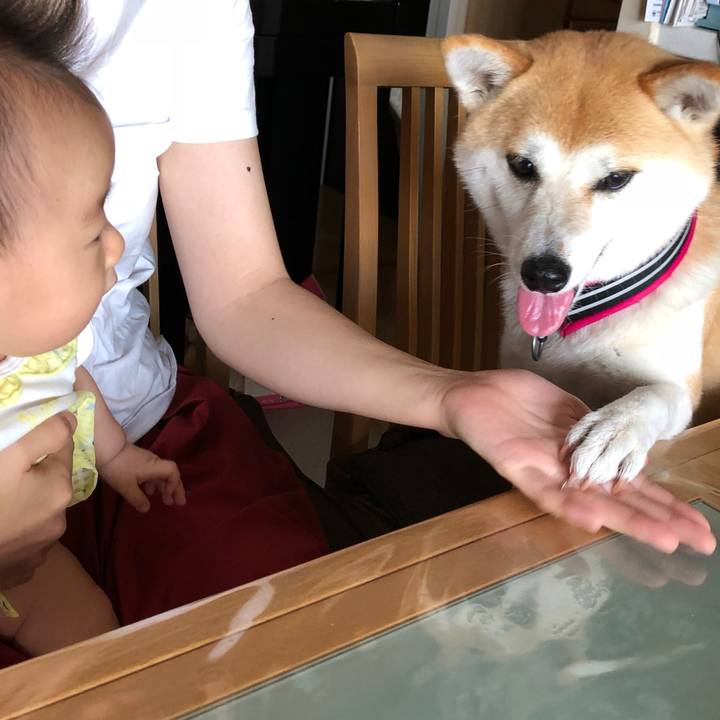 Dc4d5198 f497 433d bc4f 012a5070dbd4 1530272428890