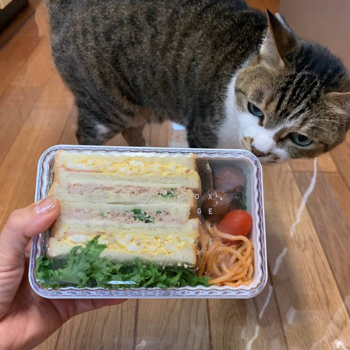 Dc4d6d88 79aa 4a0b b489 baca18ae5753 1650232205884