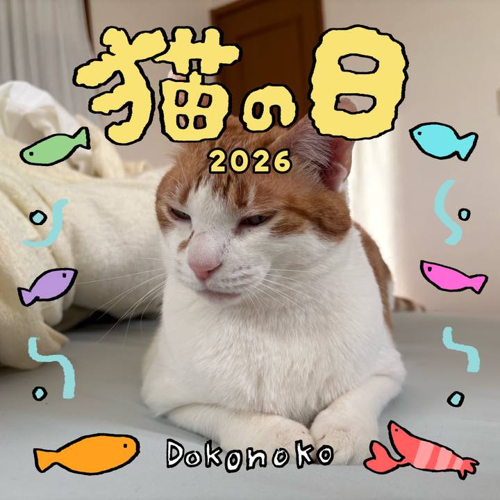 Dc4d75c9 d201 4199 bd7c 0524535d5cd0 1771711205482