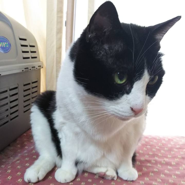 Dc4d7980 1551 413a aecf 24a1d1a6049d 1556532603432