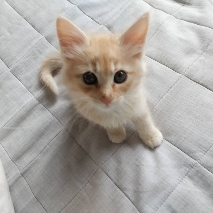 Dc4d7da4 950a 4b5f 8ce6 3b3296bf3d55 1603148184206