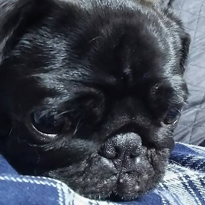 Dc4d80b4 4d01 41a4 bbe3 9d508d1821d7 1540393485797