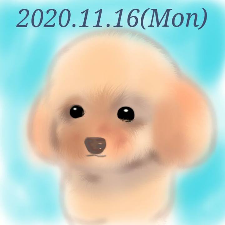 Dc4d8348 62f0 40b4 bef9 7a6a9007c5a9 1605526403885