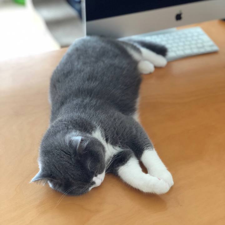 Dc4daf39 f449 4efc be81 16abb3581249 1530938954803