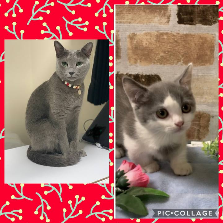 Dc4df08e 302f 4a6b 8eba 2c841d8c400e 1607905401920