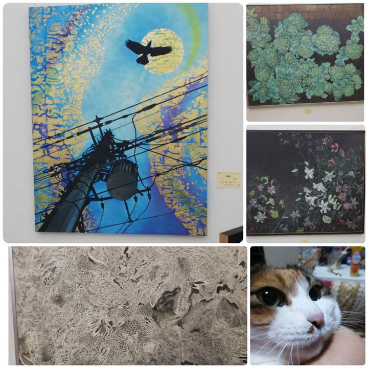 Dc4df5b8 d02c 4f9e a57b 99ac86e3bcd5 1574611392267