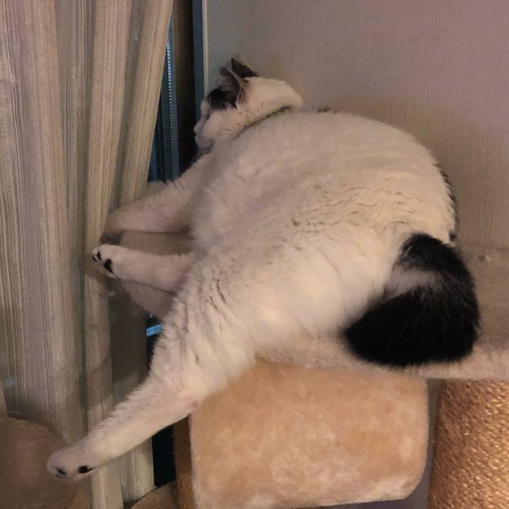 Dc4e048d b194 4ed2 8532 678fb00d9e36 1559829078477