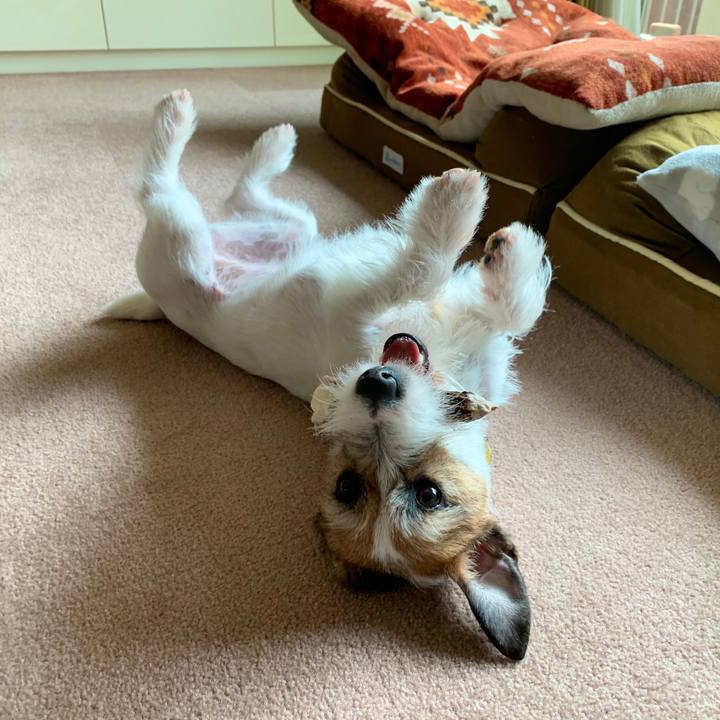 Dc4e051e e64b 4a42 86bb f88ccb2eaf1b 1587001346732