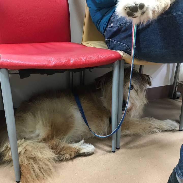 Dc4e11c5 b2b6 47f3 9336 2994fb62d810 1618759241500