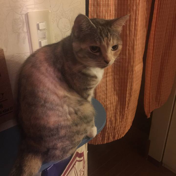 Dc4e26e8 b871 4220 a49f 6fbdf16b0614 1559660831564