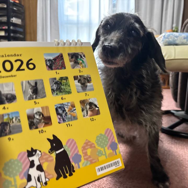 Dc4e3372 7795 49f3 8427 4a566cfdee95 1764544282523