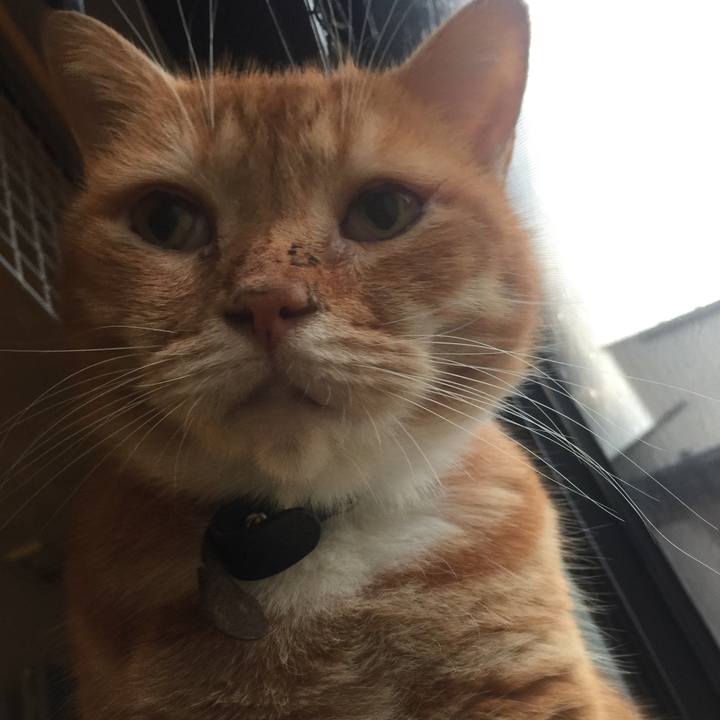 Dc4e55ca 5cb7 41eb 81a7 f1b47260da1c 1567629832879