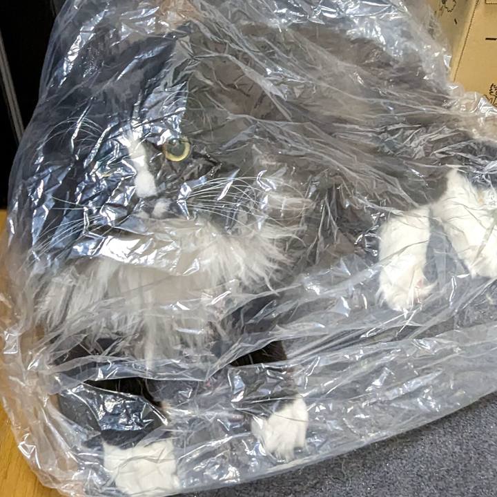 Dc4e6b2f 5301 4f84 b3e3 e6cbb6e80c22 1674820718898