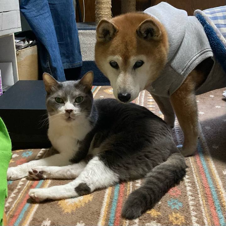 Dc4e7ad3 7c70 4365 b569 212e0e9dd6a8 1770252767129