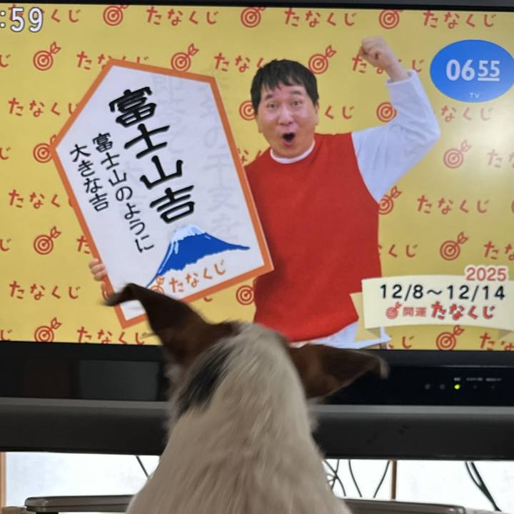 Dc4e9ca1 0af3 425c 9642 6ddba4c72f5f 1765147663355