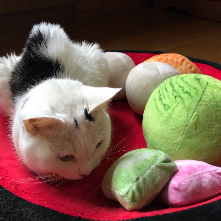 Dc4e9e8a 55e0 43bc 9ce3 14c538403fb3 1657054186727