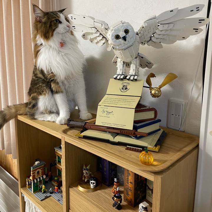 Dc4ec373 af32 45d2 b5df 7c6925bdd690 1727381321734