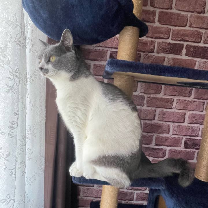 Dc4eeda7 891b 4aaf b35f 6c56fac86d6b 1721634034913