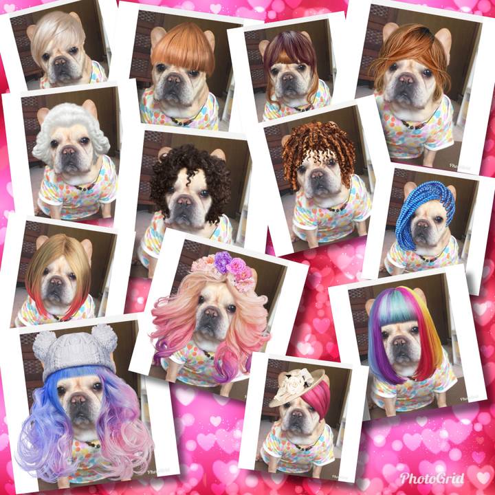 Dc4ef1ab c143 41aa b20b ba15cdd8fef8 1521203853260