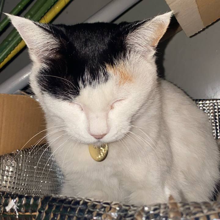 Dc4efc54 15dc 4315 8868 21f7f2008418 1638358192392