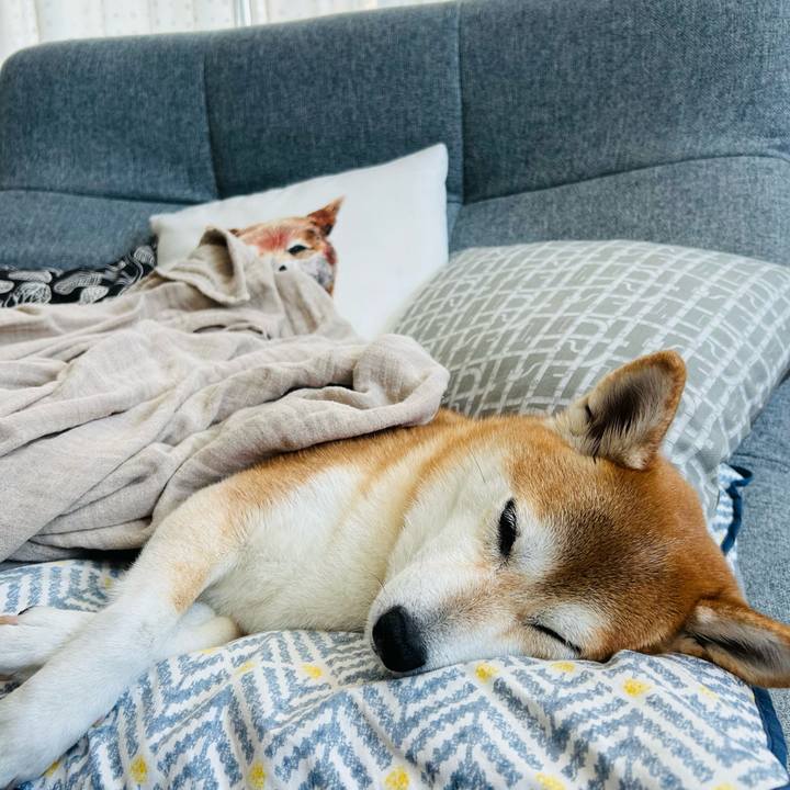 Dc4efebc 9373 45a1 bbe8 926cc8a8f40e 1759184033850