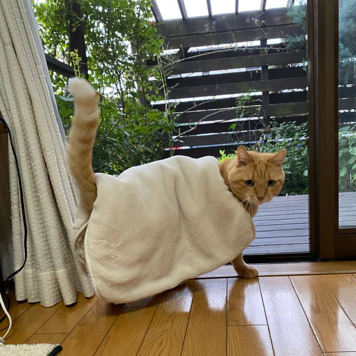 Dc4f0c70 dbfa 4b8c 80f5 3c42b537670c 1665013394406