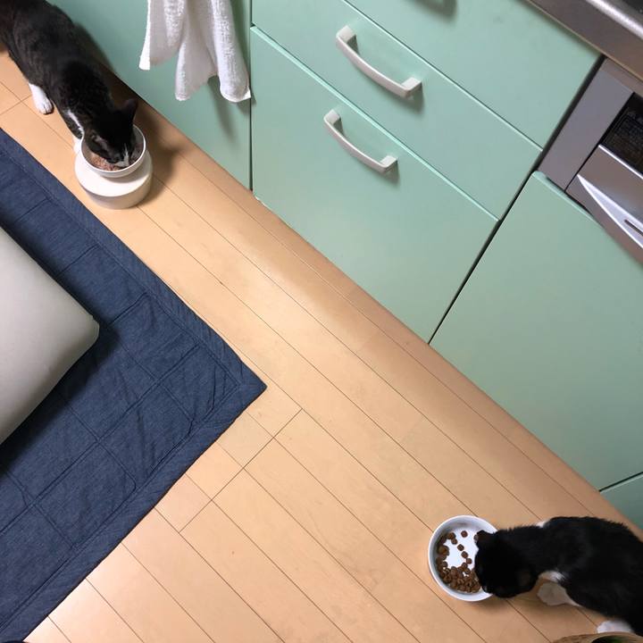 Dc4f15bd 056b 433f be5e 391d92b6ee64 1531339443510