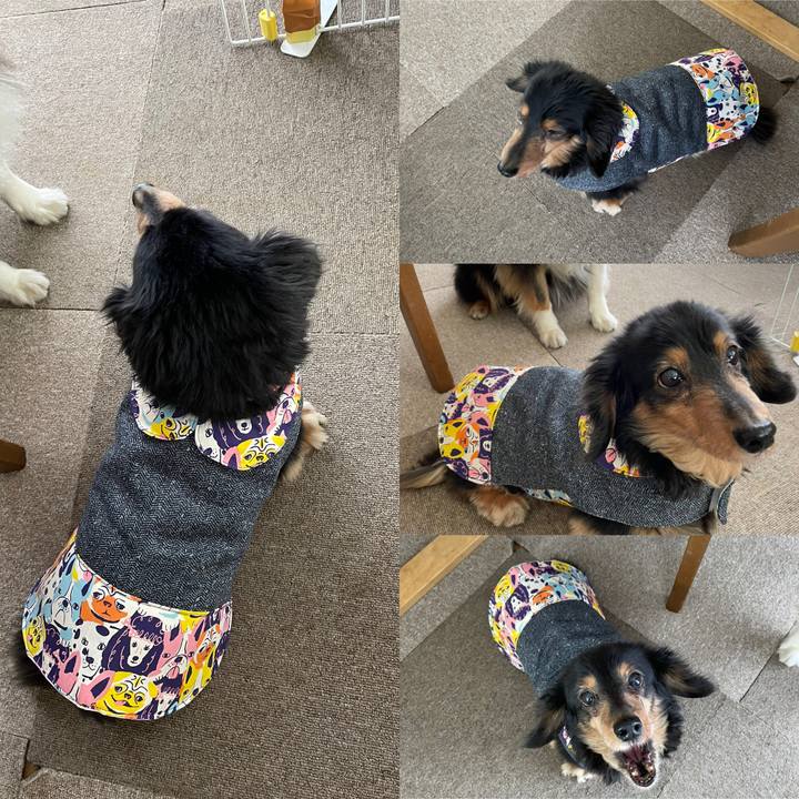 Dc4f1f05 8dac 4174 a2a2 0fa9a3f108af 1645585952927