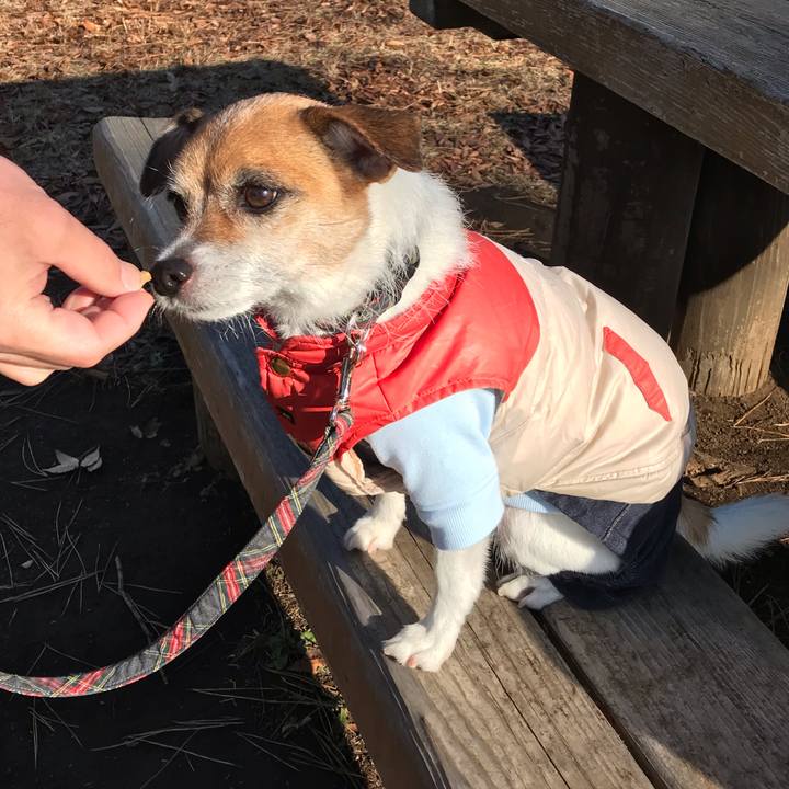 Dc4f3c6b 3477 4edd 82a9 0f1ed7f9c0ce 1544842241020