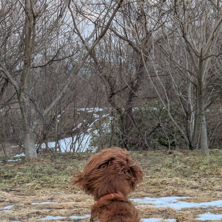 Dc4f3d31 b68a 4fb6 a065 4e0cb30eaac4 1771233287731