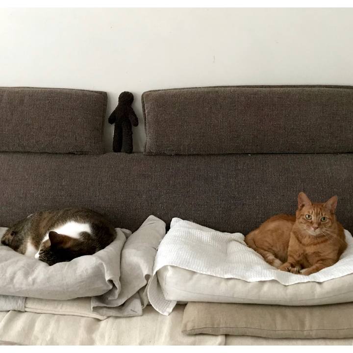 Dc4f9a0f a9ad 4abc aa80 bb98b44af8aa 1562505897647