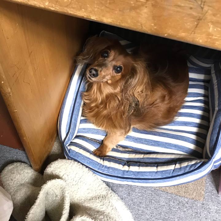 Dc4fbf0b ef1a 4ee6 98aa eb472bae6a91 1574863629082