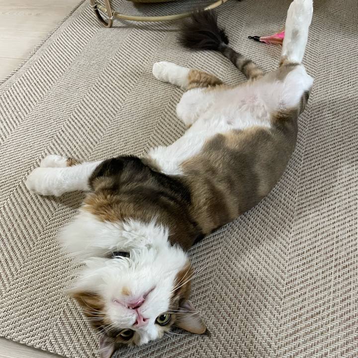 Dc5048e0 6896 478f 8b05 adfcfd3b32c5 1660251703547