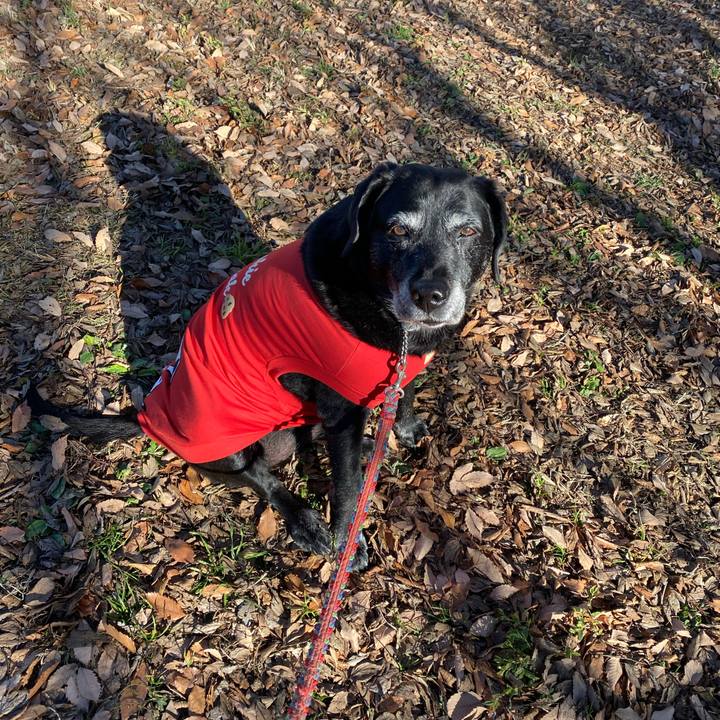 Dc5048fd 5531 46b5 9d8e fa87eaf9b25b 1671851302012