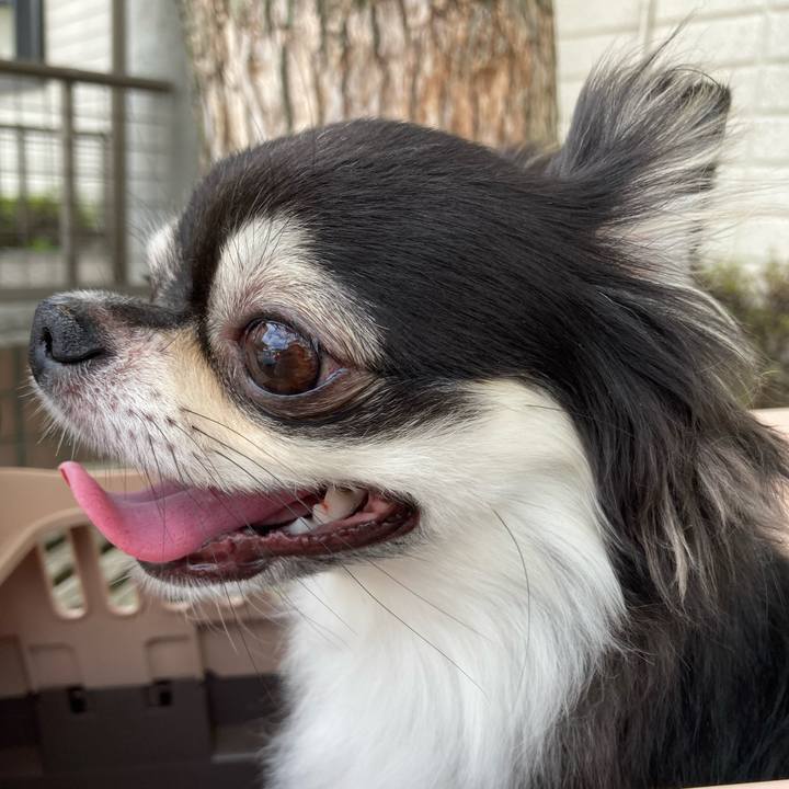 Dc506b5e 7b02 443d 878e 8c54472630a5 1658972250051