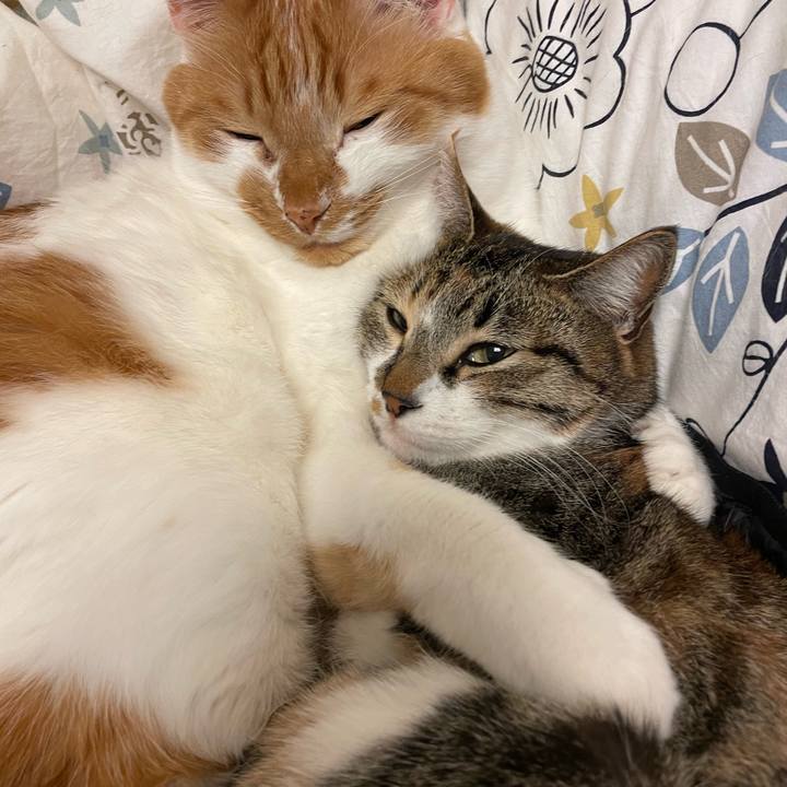 Dc50a05b bc6c 4c8e 8893 47f76d83b29b 1675691071831