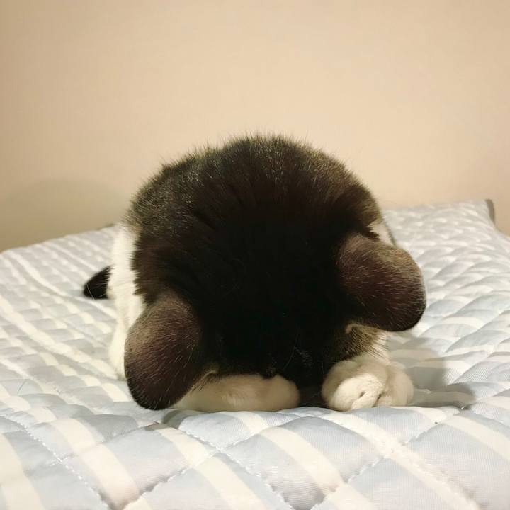 Dc50a21f f347 4940 bf5d 64c3170d1541 1626276246775