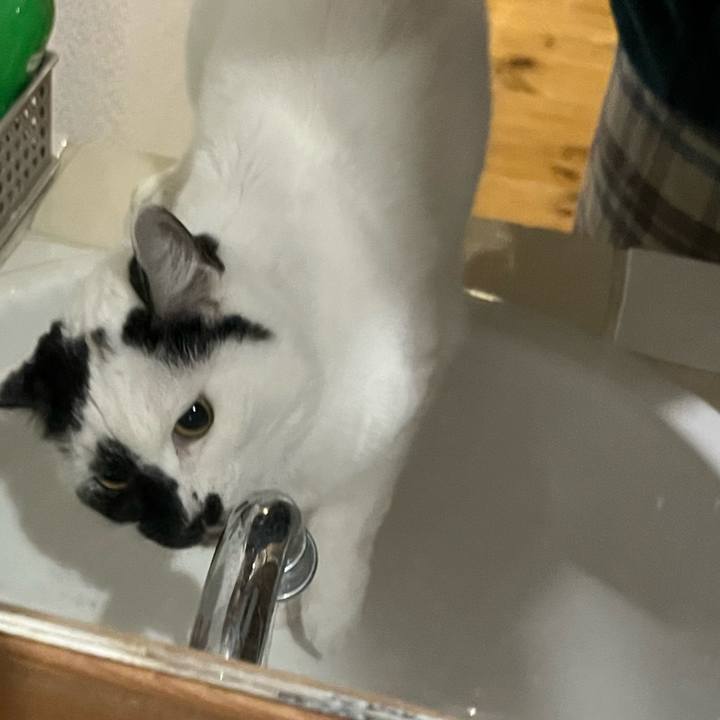 Dc5129ed eec7 4d51 9fea 559d15f16154 1767879882333