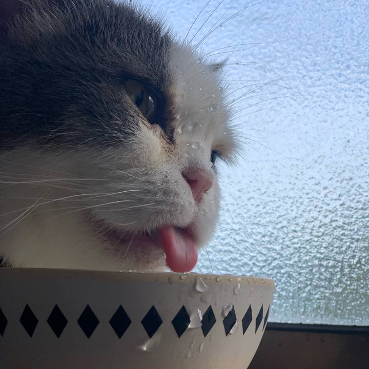 Dc512edc 4b44 4100 816b 9d0ca56112a8 1753524906976