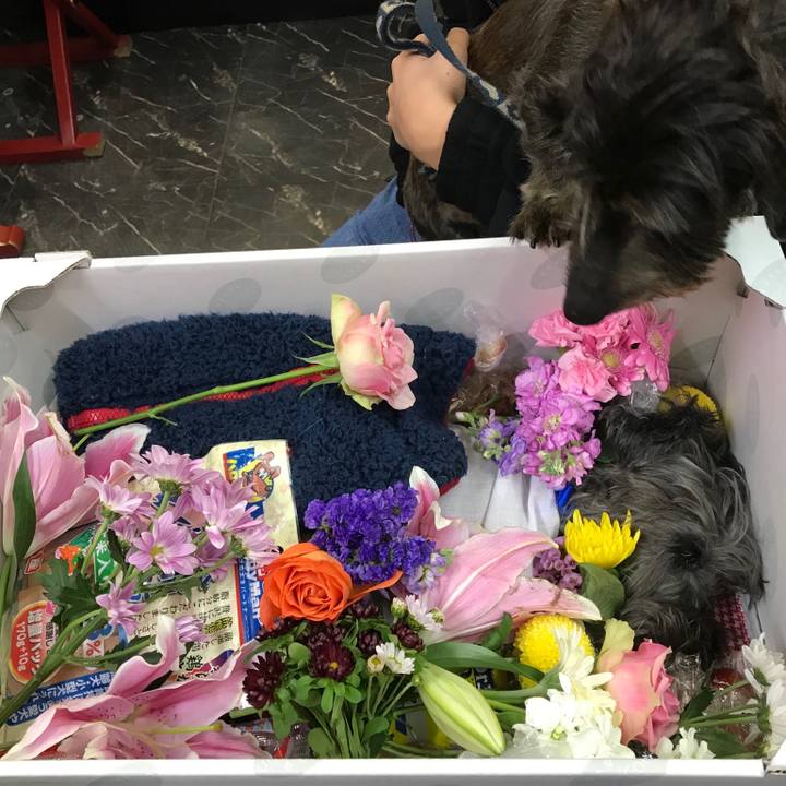 Dc512f39 03ab 4a5d ae7f 8d28a3554726 1543719578529