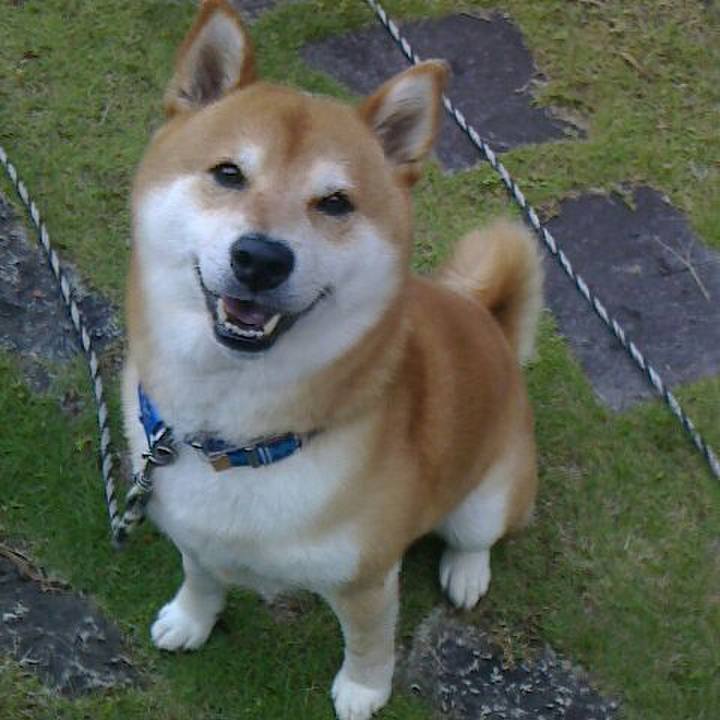 Dc513196 e3bb 4cac 8a5f b870ac818190 1527134142543