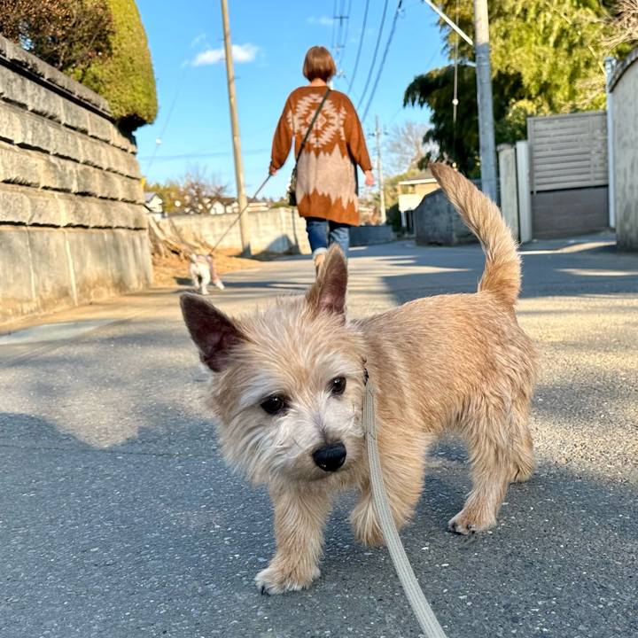 Dc51334c d477 49b8 af64 d8d3790f01f5 1707743471722