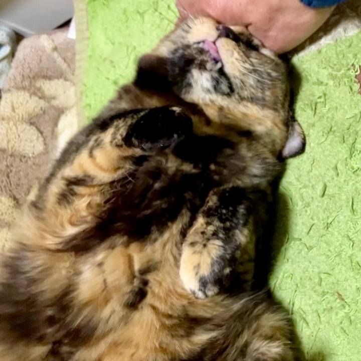 Dc517177 7b19 49ed bb1c c7df249926e2 1739045817690