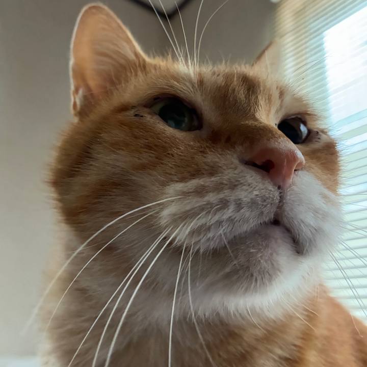 Dc517910 94a0 4638 a5e8 57de14a23011 1765621497922