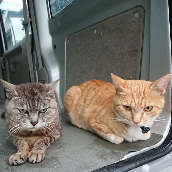 Dc520780 449d 4a7e b8ad 96cc01d30ec0 1563443043374