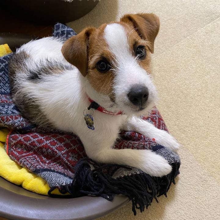 Dc52193d fafb 4218 84a7 c369a63590bc 1617971961222