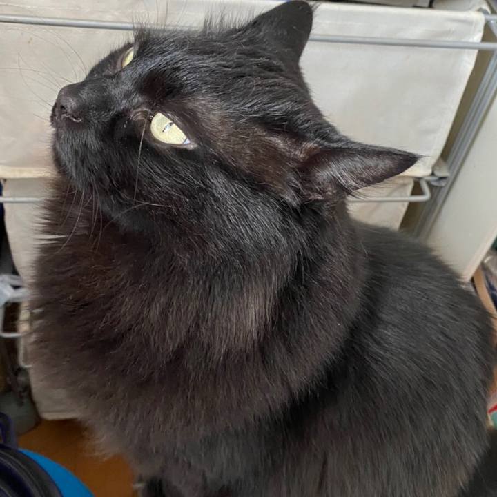 Dc521af2 ff6f 4076 9c09 04d0290ac8bf 1583466208147